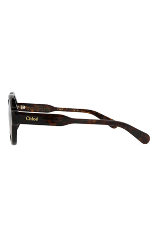 Chloé  Dark Havana Sunglasses