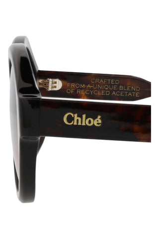 Chloé  Dark Havana Sunglasses