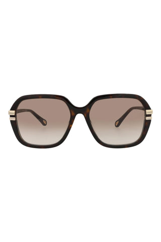 Chloé  Dark Havana Sunglasses