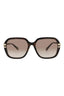 20355 - Havana Havana Brown