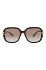 20355 - Havana Havana Brown