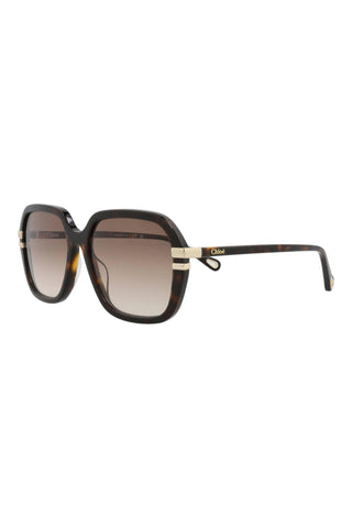 Chloé  Dark Havana Sunglasses