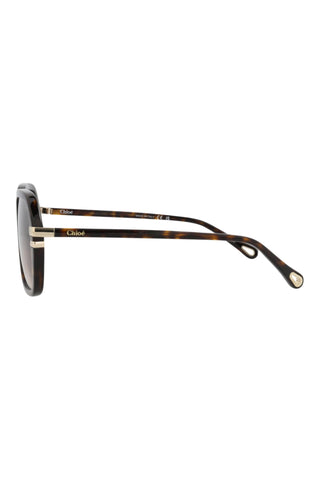 Chloé  Dark Havana Sunglasses