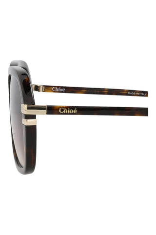 Chloé  Dark Havana Sunglasses
