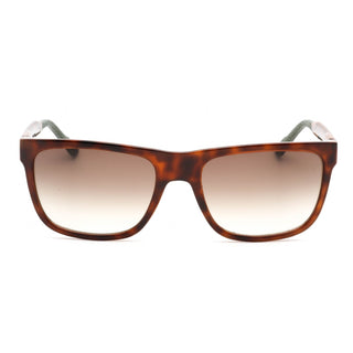 Calvin Klein CK21531S Sunglasses BROWN HAVANA / Brown Gradient-AmbrogioShoes
