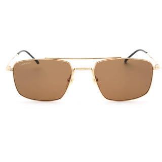 Calvin Klein CK22111TS Sunglasses Gold / Brown-AmbrogioShoes