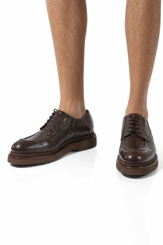 Cesare Paciotti Exotic Designer Shoes Struzzo Fondente Nappa Brown Lizard Oxfords (CPM3040)