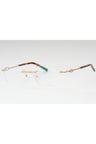 C01 - Shiny Satin Gold / Clear Lens