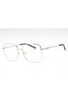 C02 - Shiny Silver/Gold Black / Clear Lens