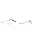 C02 - Shiny Silver God/Black / Clear Lens