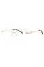 C01 - Shiny Gold/Tortoise / Clear demo lens