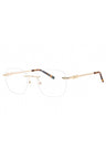 C01 - Shiny Gold/Tortoise / Clear demo lens