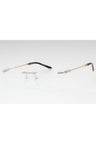 C02 - Shiny Silver/Gold / Clear Lens