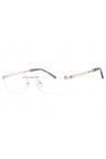 C02 - Shiny Silver/Gold / Clear Lens