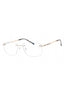 C02 - Shiny Silver/Gold / Clear Lens
