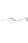 C01 - Shiny Gold / Clear Lens