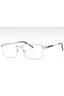 C02 - Shiny Silver/Grey Horn / Clear Lens