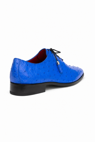Marco Di Milano Criss Ostrich Oxford - Electric Blue