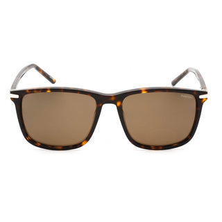 Chesterfield CH 10/S Sunglasses Havana / Bronze Polarized-AmbrogioShoes