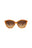 20355 - Havana Havana Brown