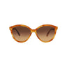 20355 - Havana Havana Brown