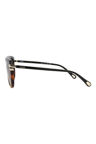 Chloé CH0203S Black/Medium Havana Sunglasses