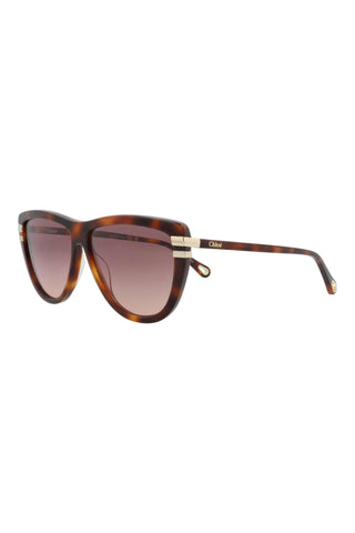 Chloé CH0203S Medium Havana Sunglasses