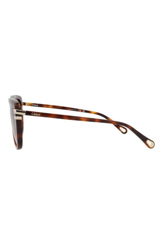 Chloé CH0203S Medium Havana Sunglasses
