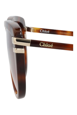 Chloé CH0203S Medium Havana Sunglasses