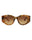 20355 - Havana Havana Brown