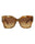 20355 - Havana Havana Brown
