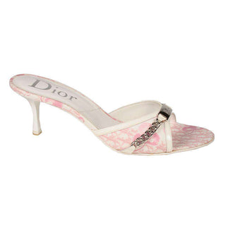 Christian Dior Rose Clair Logo Flow Mule Plate (CDW15)-AmbrogioShoes