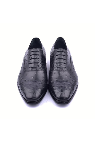 Corrente 6265 Ostrich Oxford - Black
