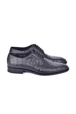 Corrente 6348 Ostrich Derby - Black