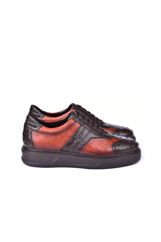 Corrente 6988 Ostrich Sneaker - Brown