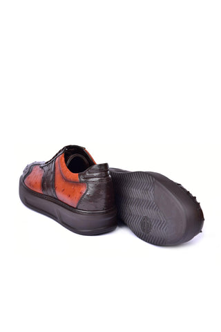 Corrente 6988 Ostrich Sneaker - Brown