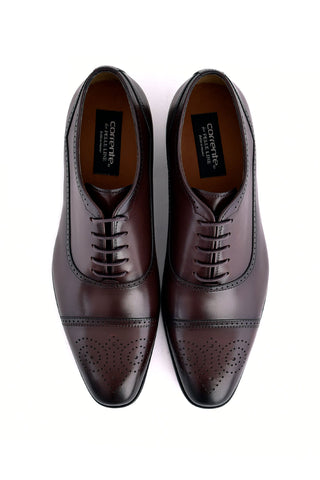 Corrente 7960 Leather Oxford - Brown