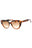 006 - Light Dark Turtle / Brown gradient