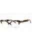 003 - DARK TURTLE/Clear demo lens