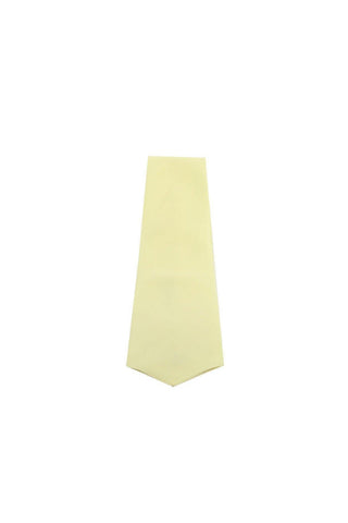 Dolce & Gabbana D&G Necktie Tie for men Solid Lime Color on textured fabric. DGT57