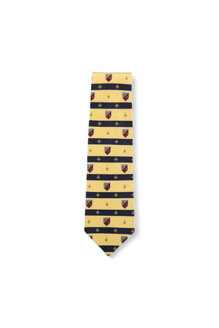 Dolce & Gabbana D&G Neckties designer Tie for men 539