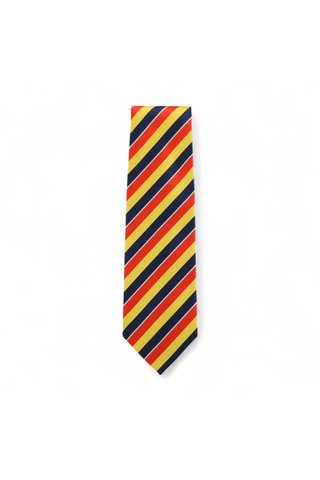 Dolce & Gabbana D&G Neckties designer Tie for men 609