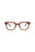 21181 - Brown Brown Transparent