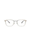 00287 - Silver Silver Transparent