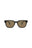 00008 - Black Black Brown
