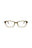 21181 - Brown Brown Transparent