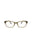 21181 - Brown Brown Transparent