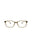 21181 - Brown Brown Transparent