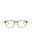 21181 - Brown Brown Transparent
