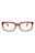 21181 - Brown Brown Transparent